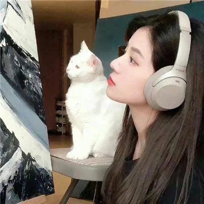 小野猫与斗牛犬